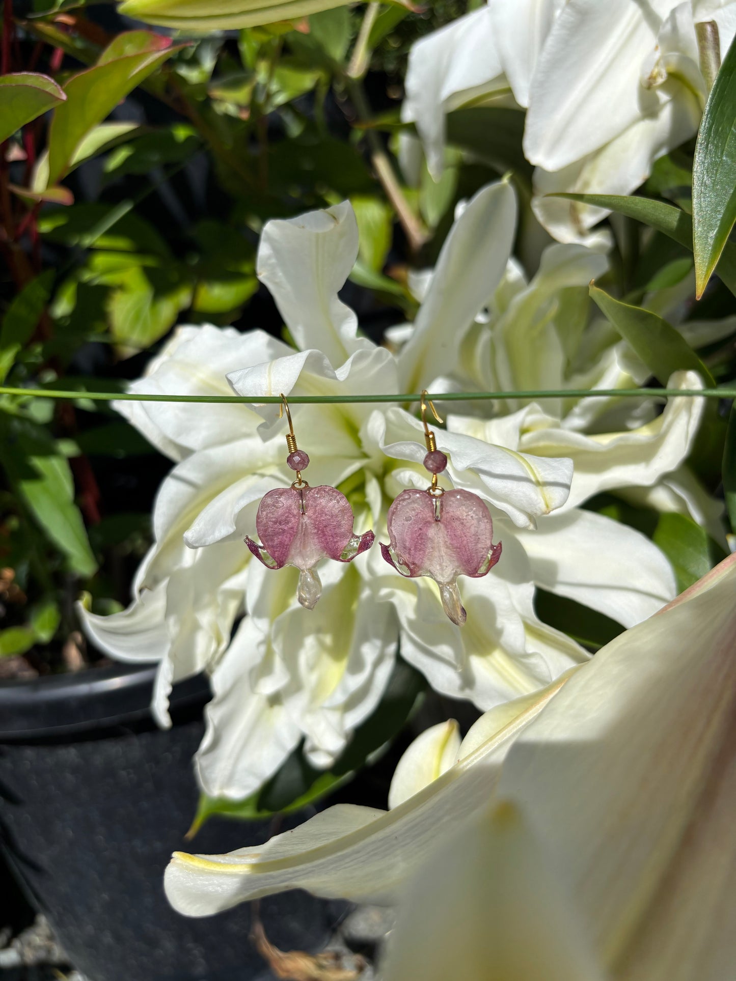 Bleeding heart Earrings