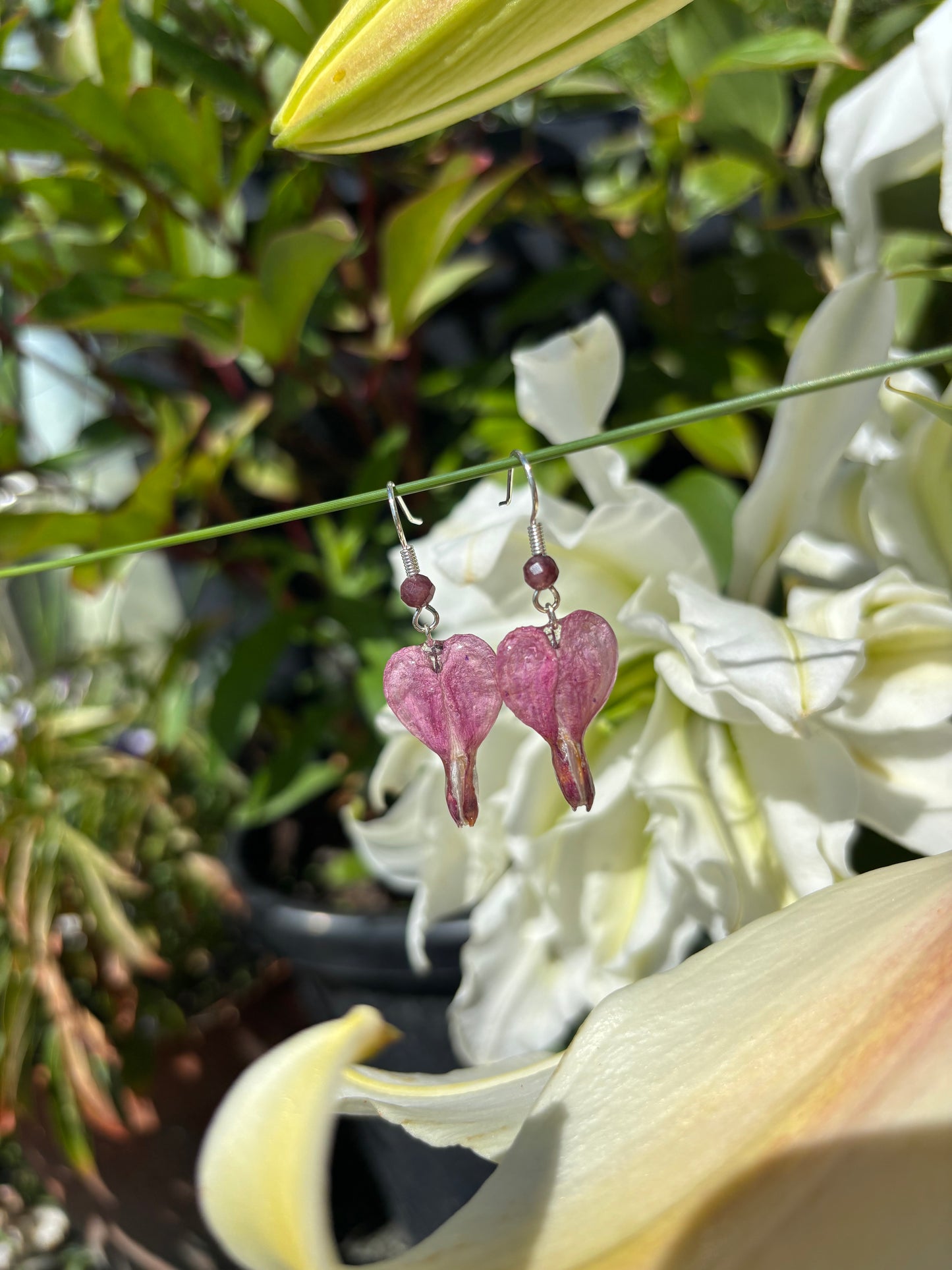 Bleeding heart Earrings