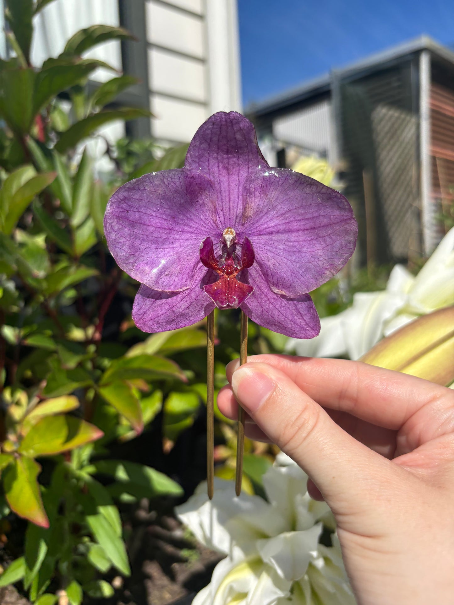 Orchid Bun Pin
