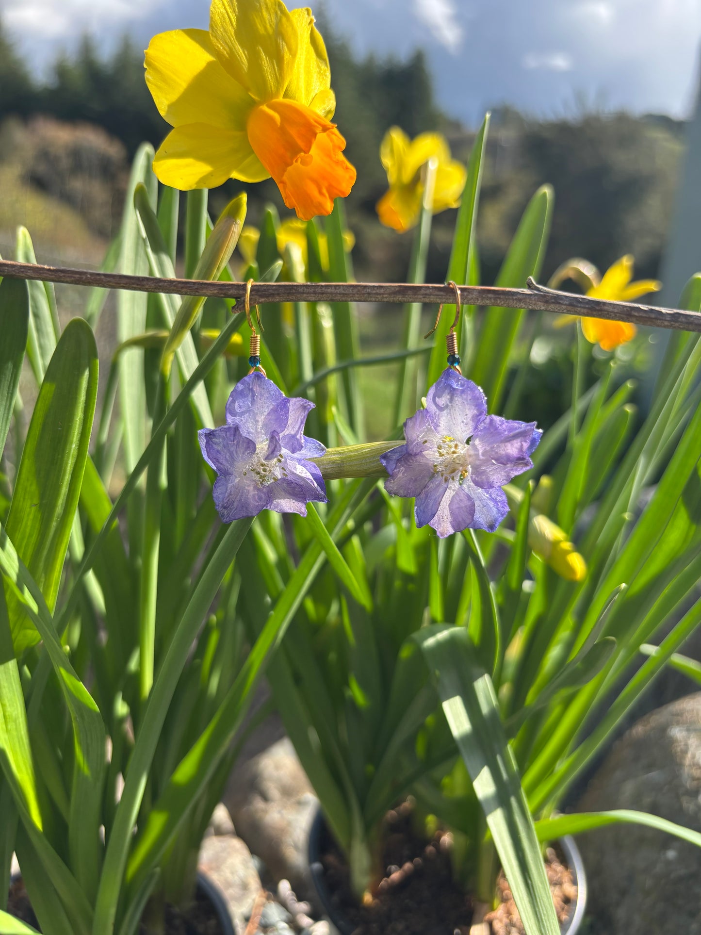 Delphinium earrings