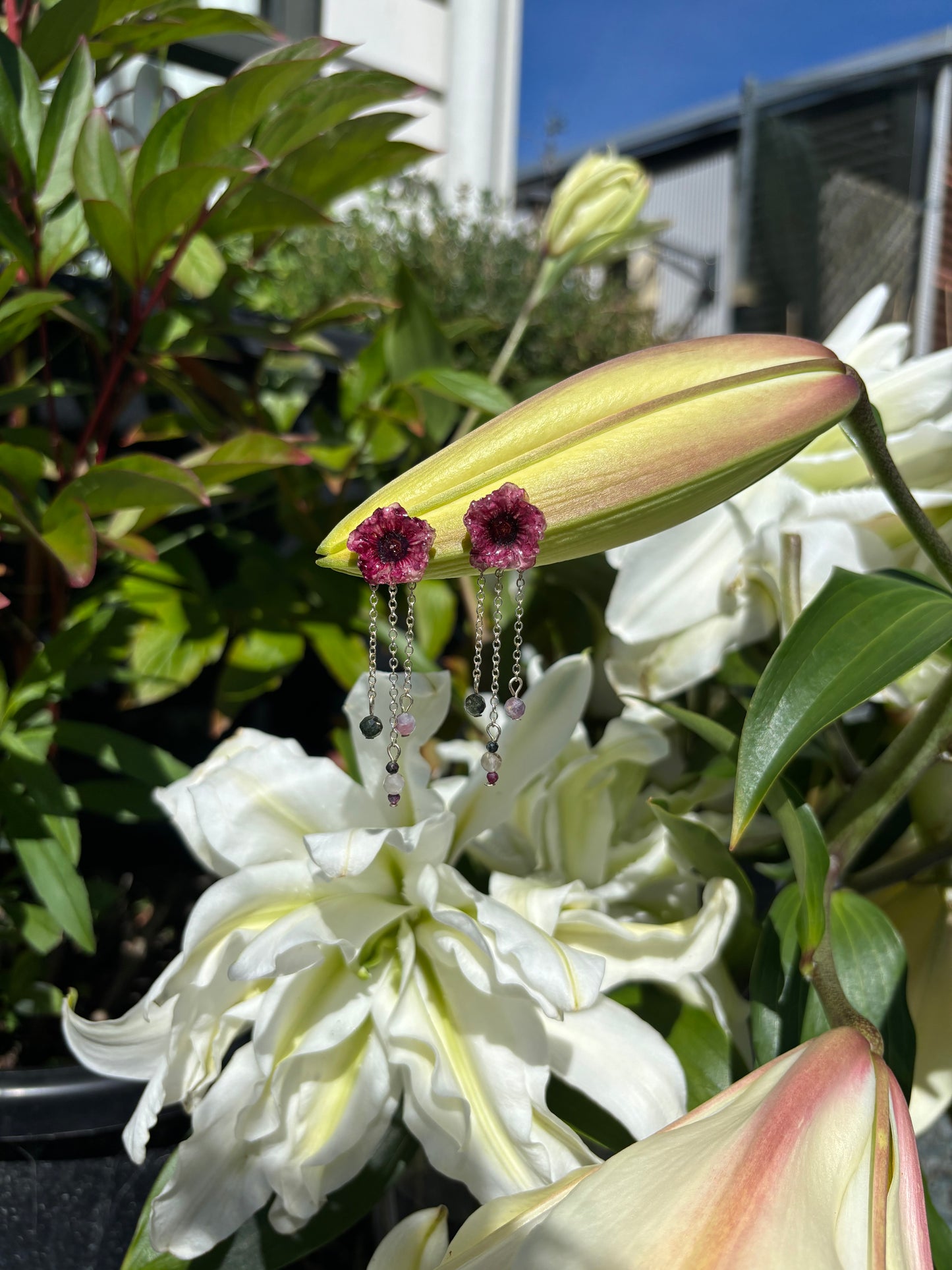 Manuka drop Earrings