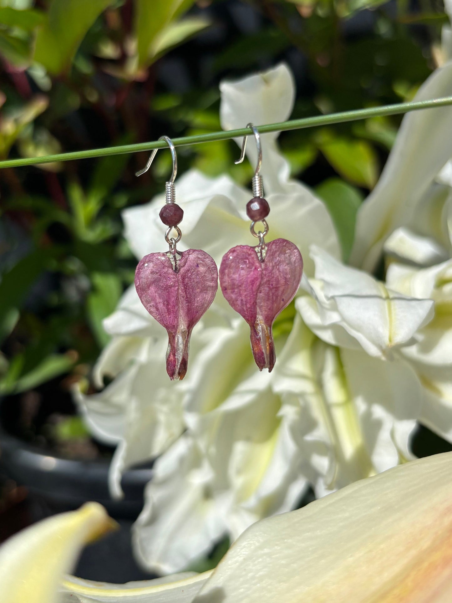 Bleeding heart Earrings