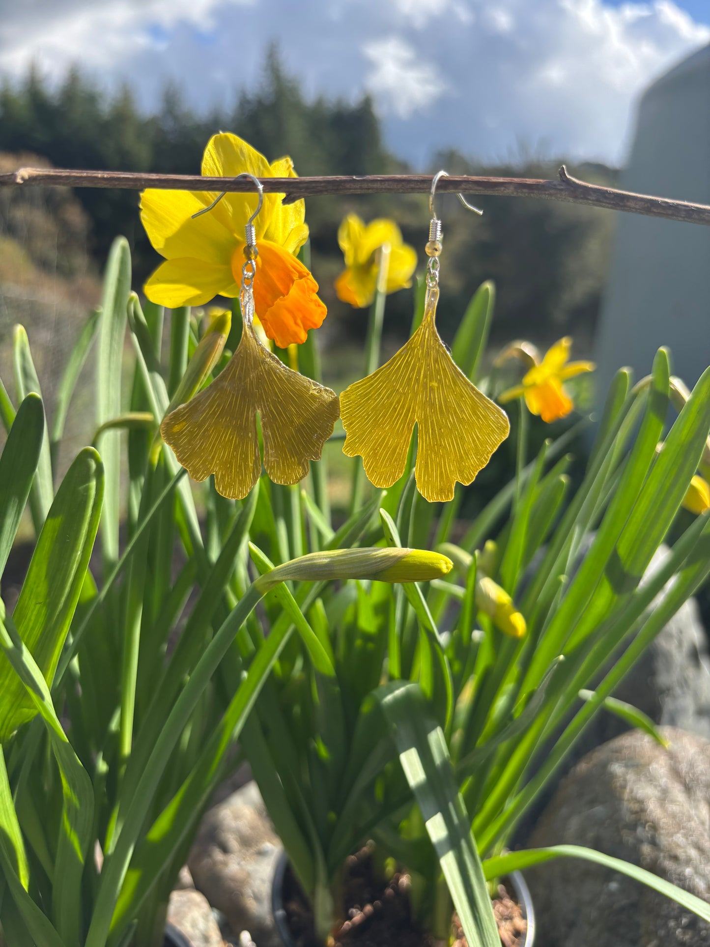 Ginko earrings