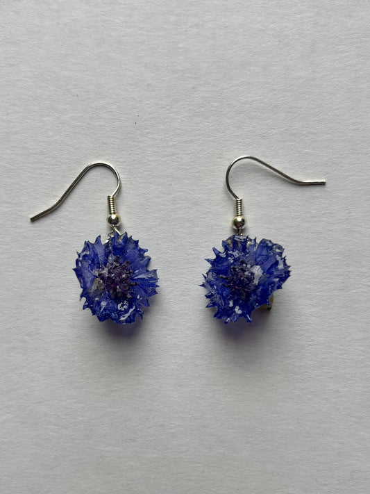 Blue Cornflower Earrings