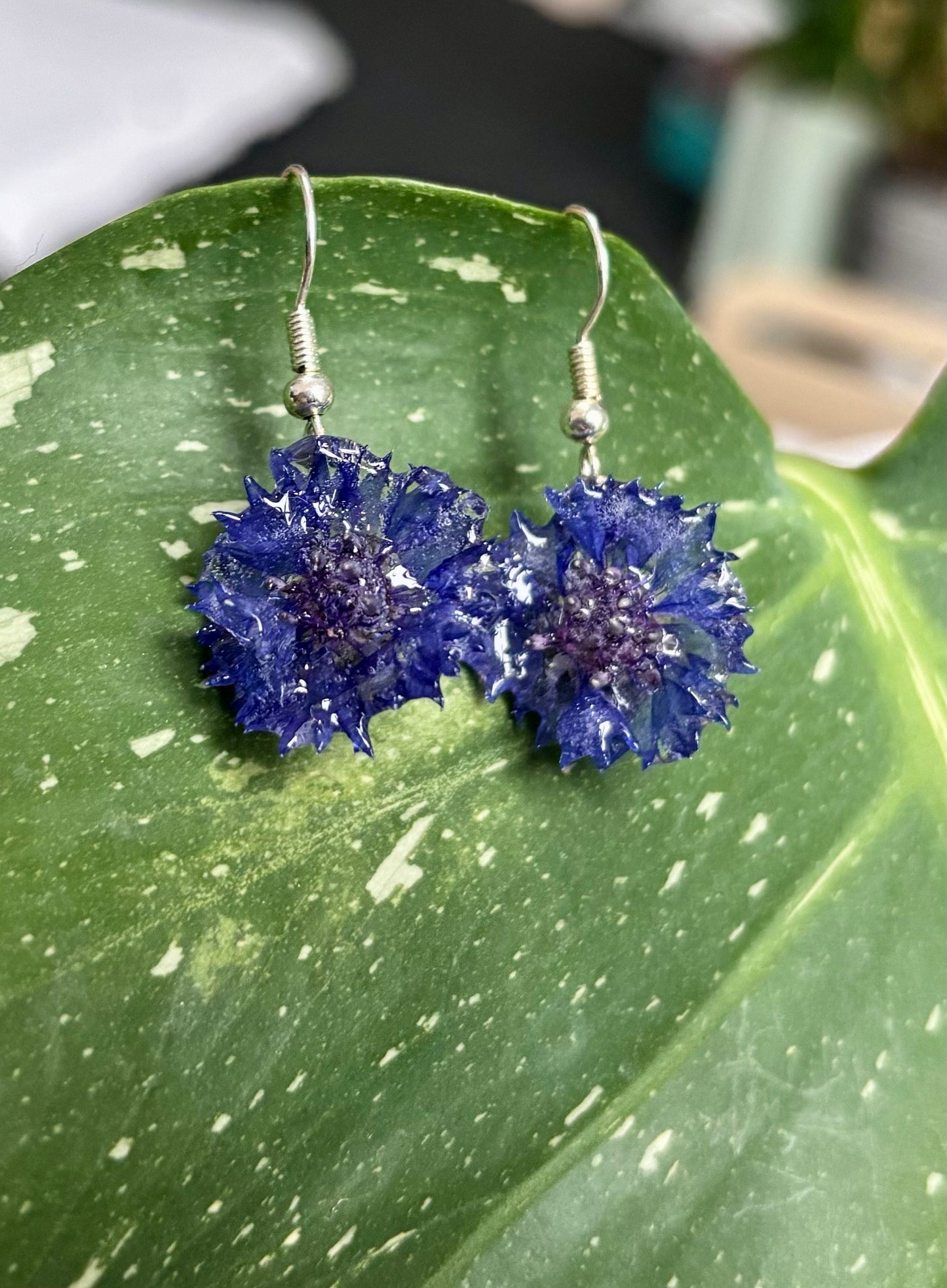 Blue Cornflower Earrings