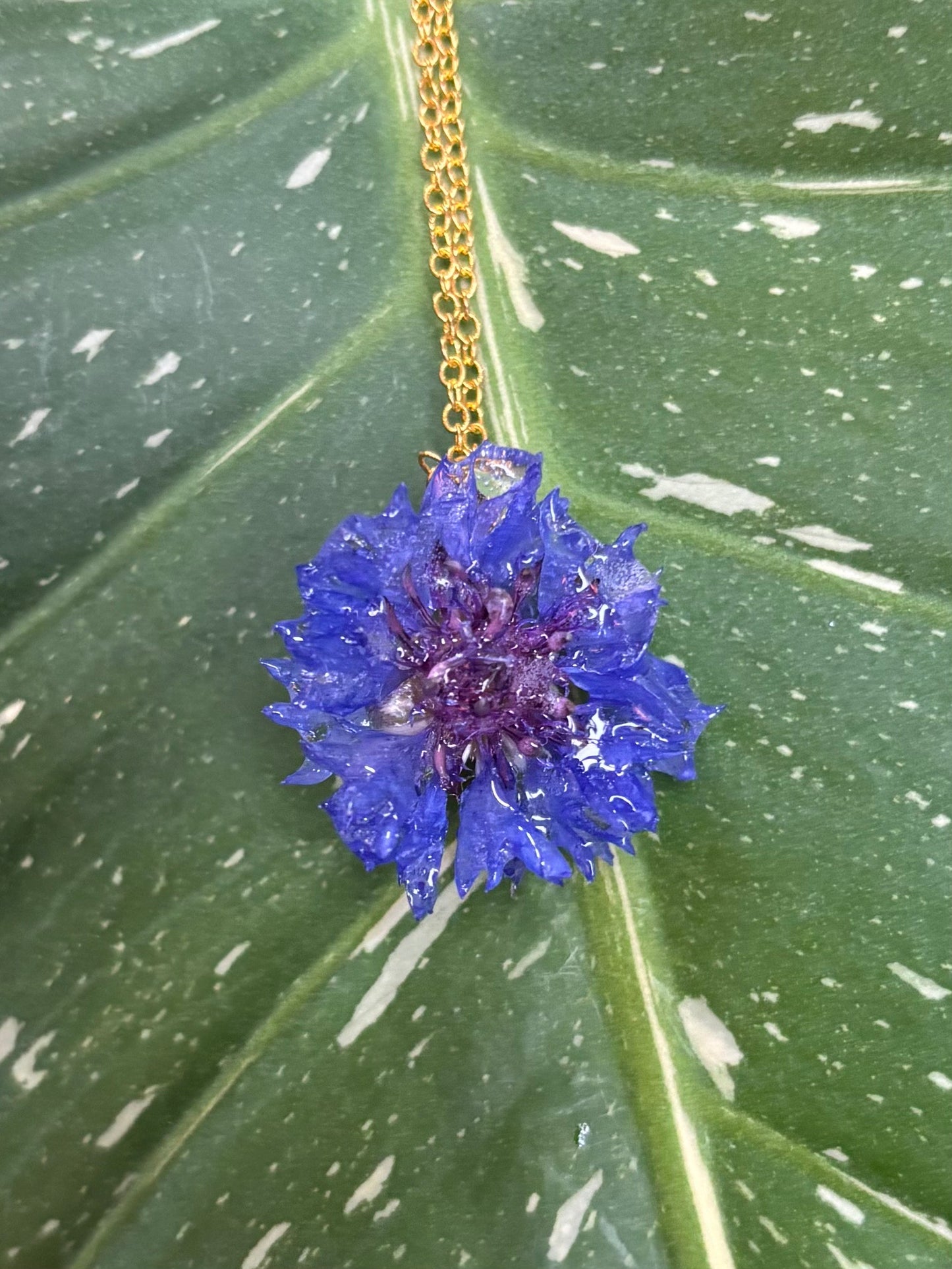 Blue Cornflower Necklace