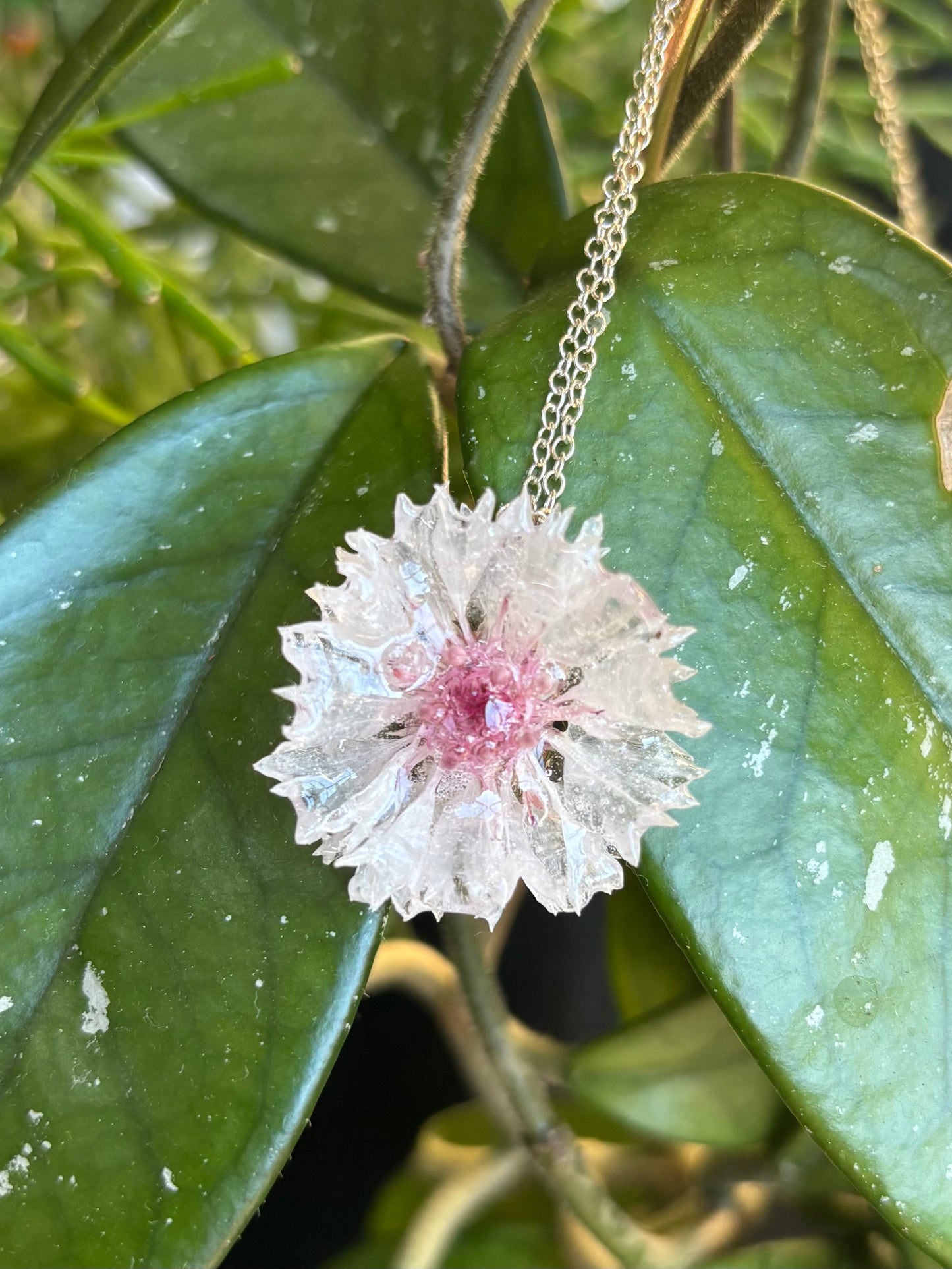 Pink Cornflower Necklace - Silver