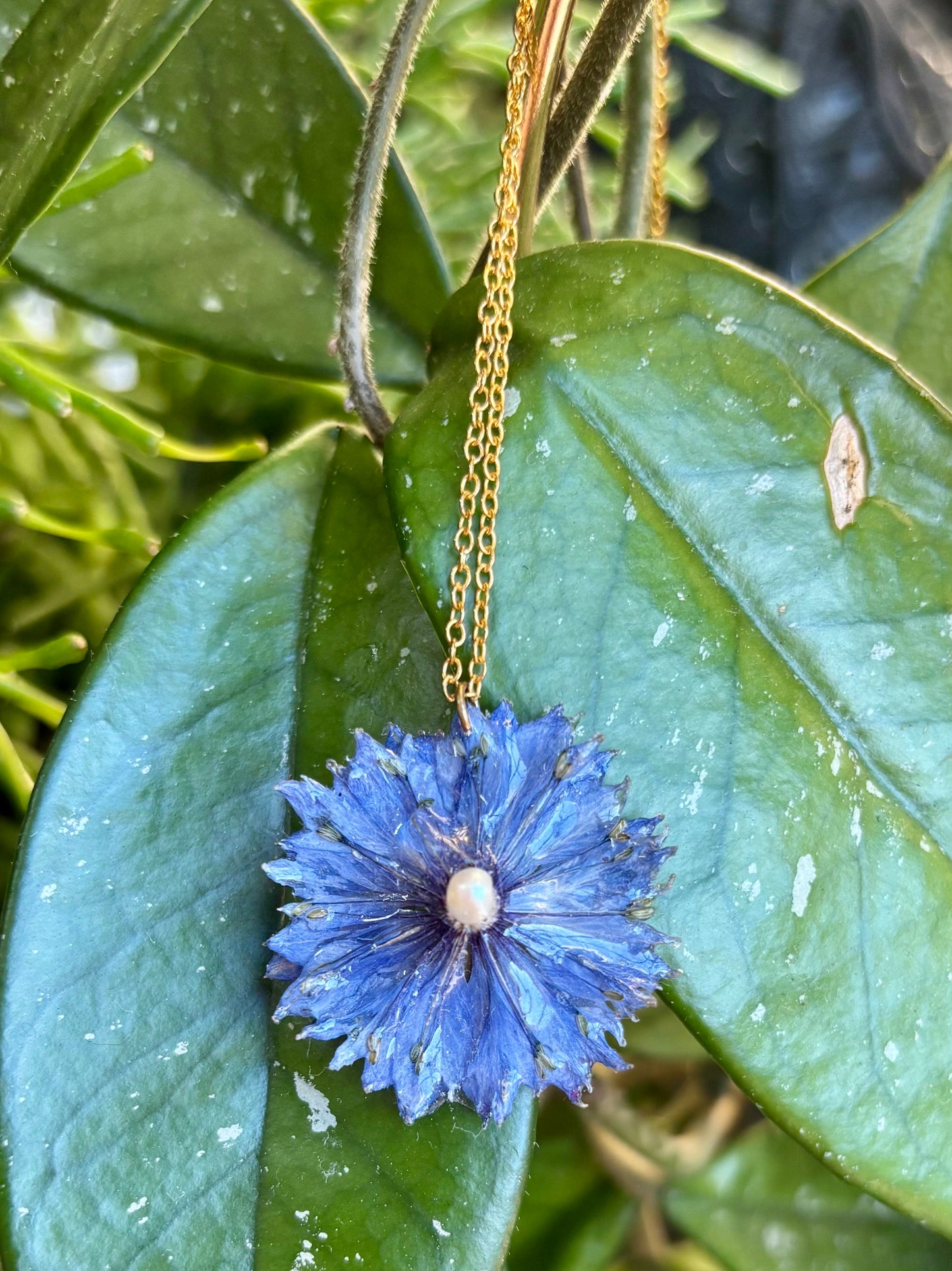 Blue Cornflower and Pearl Necklace