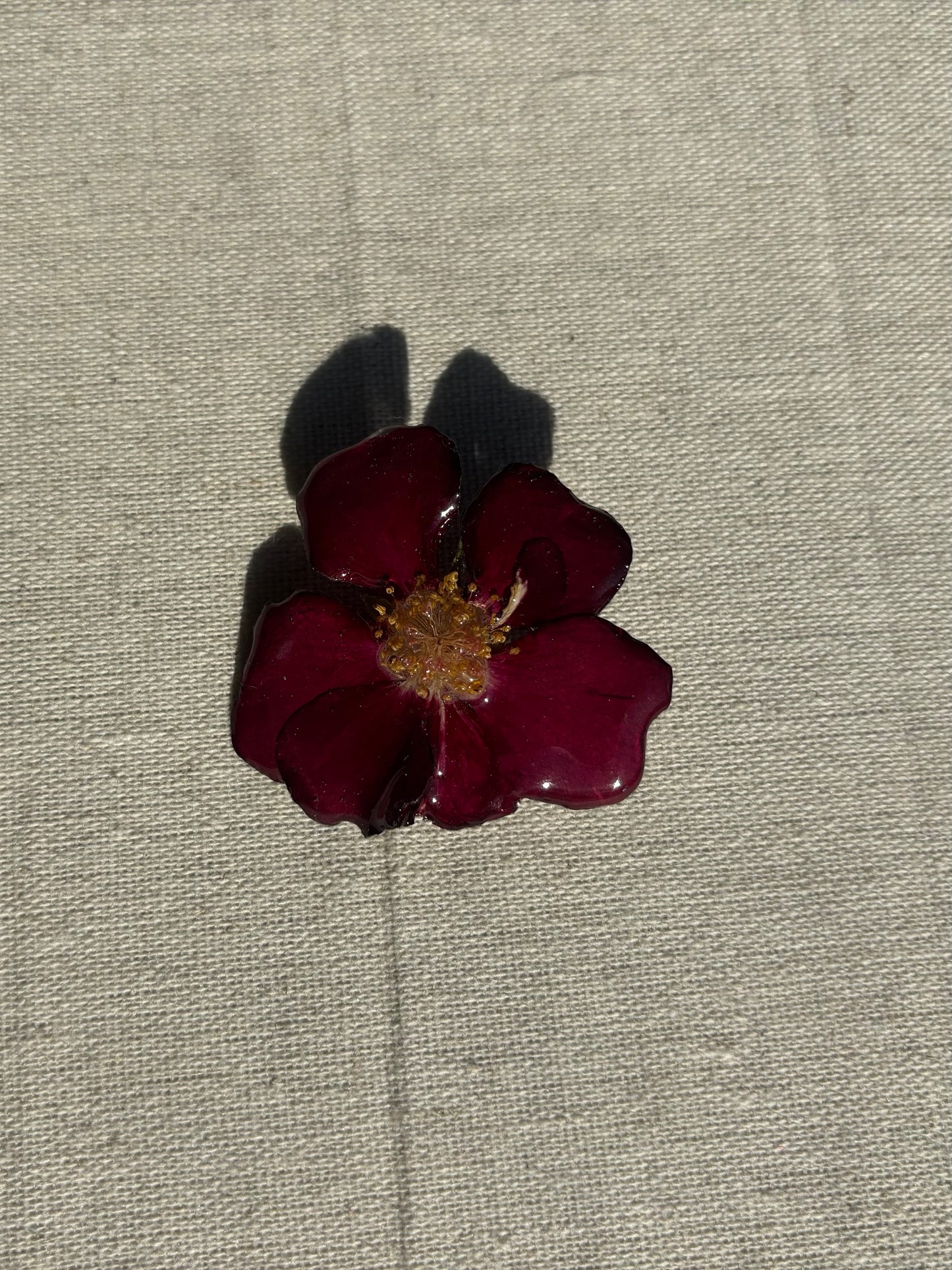 Rose Brooch