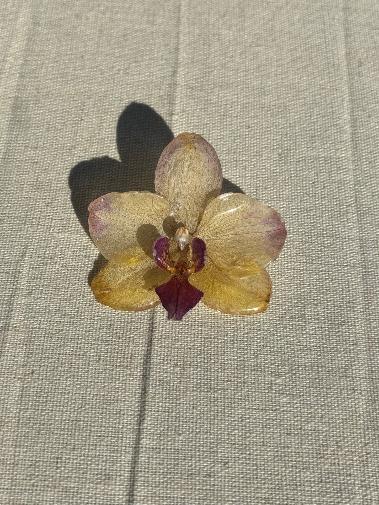 Orchid Brooch