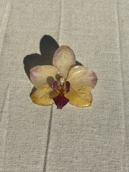 Orchid Brooch
